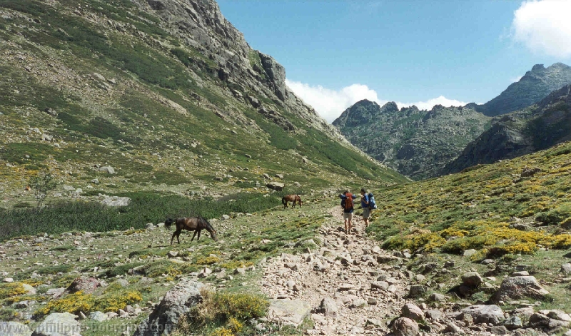 Vallée Golo paysage
