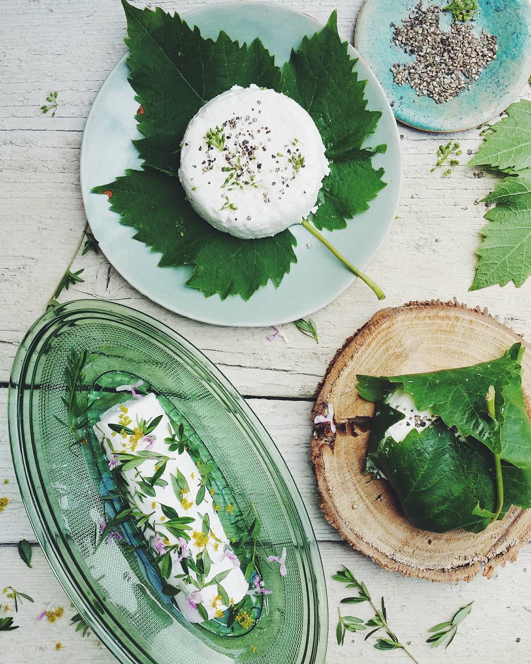 fromage de chèvre top 10 photo instagram f