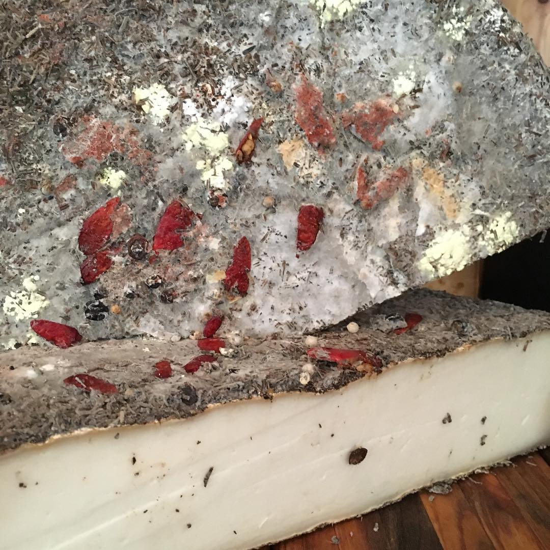 tomme de fontenay loire top 10 photo instagram