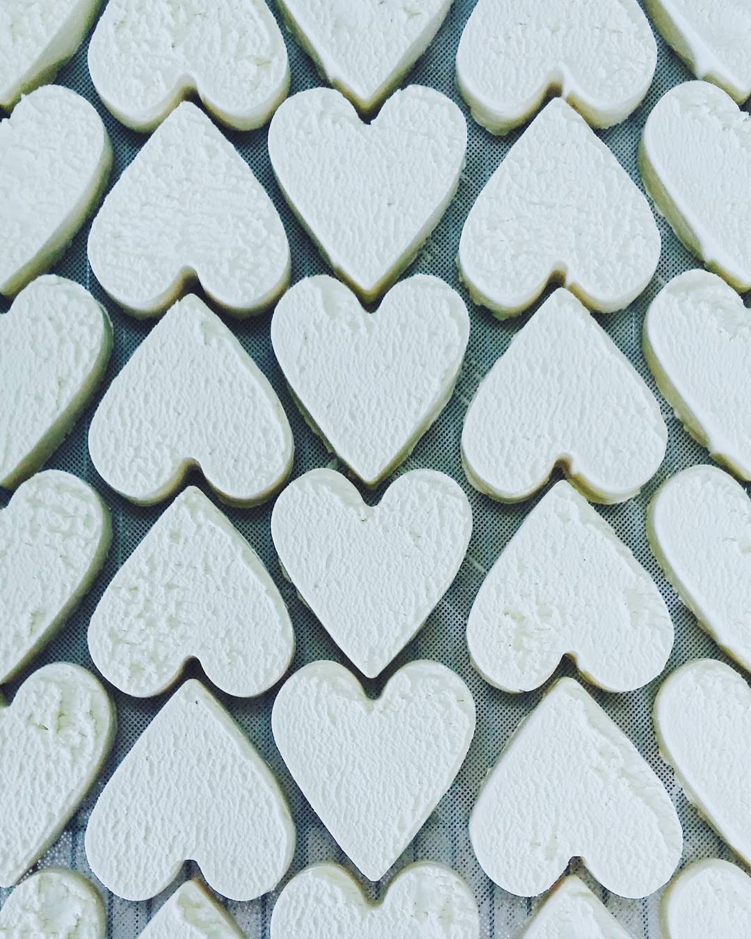coeur de neufchatel série top 10 photo instagram fromage