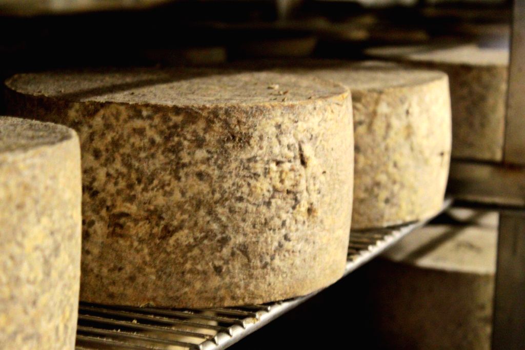 le fromage ossau iraty