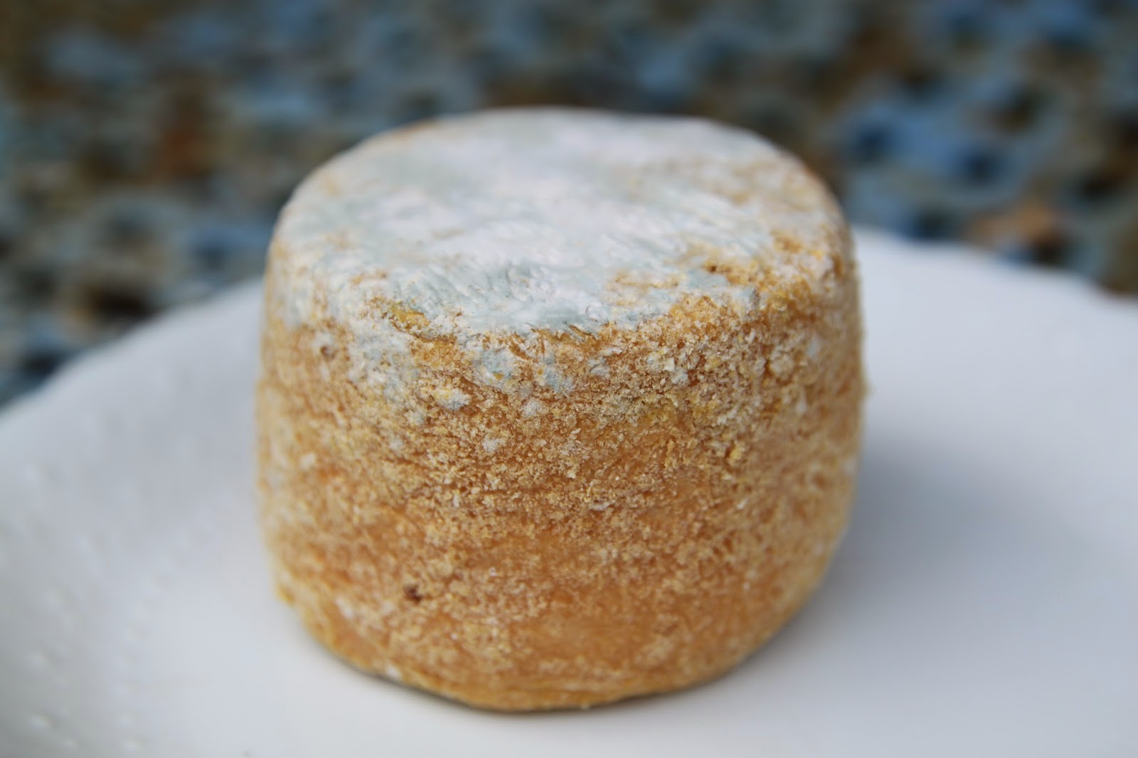 tchiot biloute fromage du nord croûte lavée bière