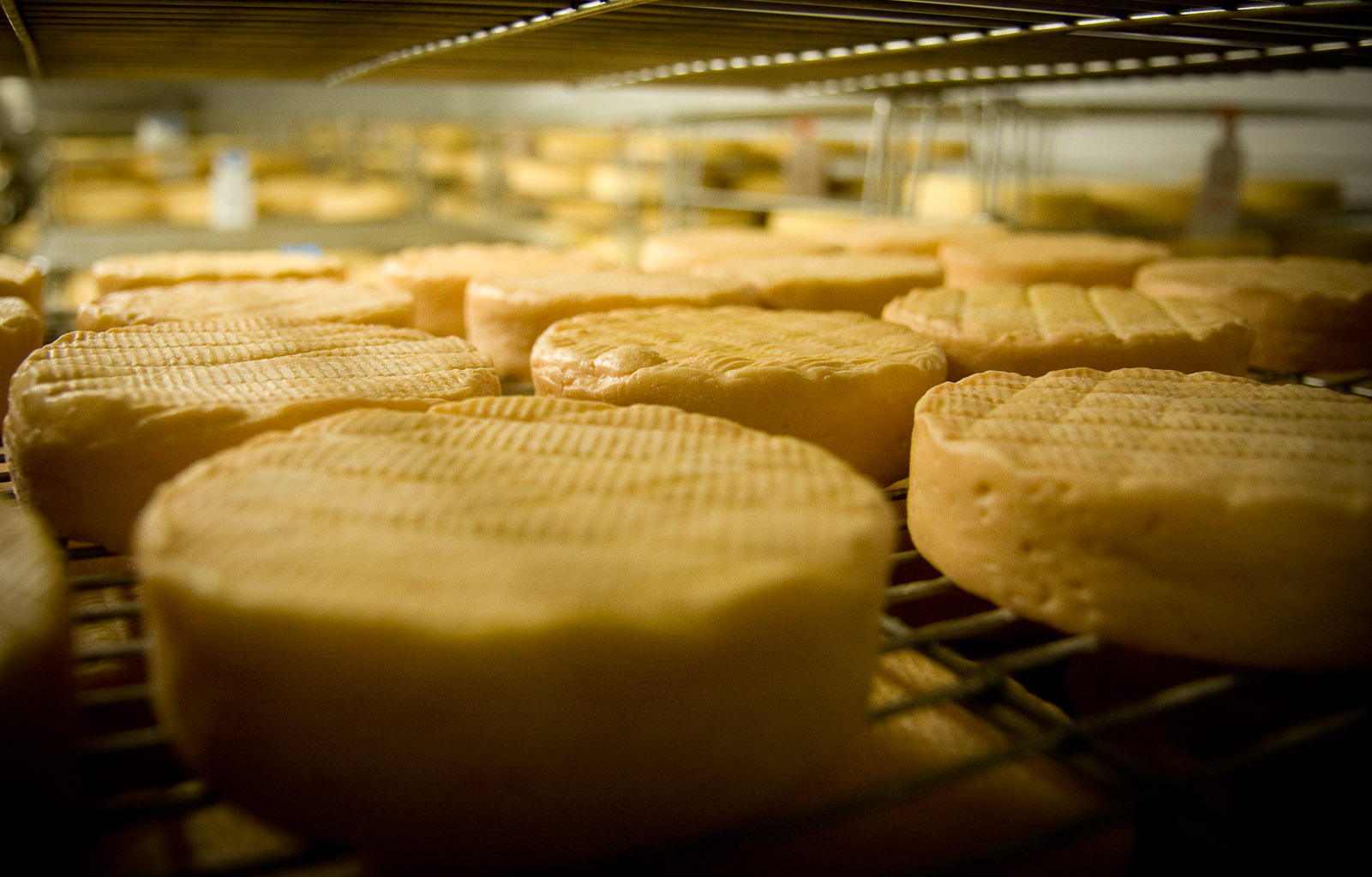 le munster fromage des vosges