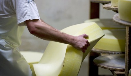 Comté élaboré en fruitière fruitière comté jura