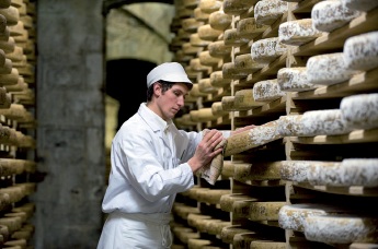 Un Maître de cave Marcel Petite surveille l'affinage des comté maîtres de cave Marcel Petite affinage comté