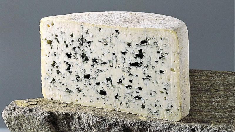 le fromage bleu d'auvergne