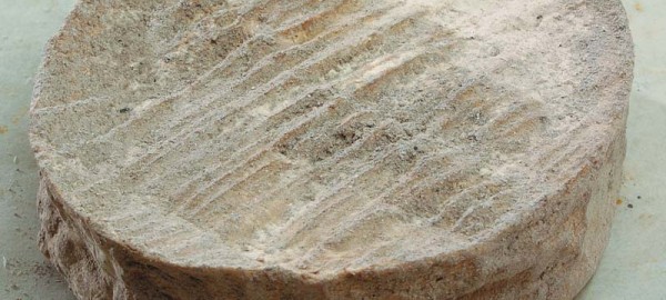 Cendré de Champagne, fromage aux cendres de bois fromage cendré pâte molle