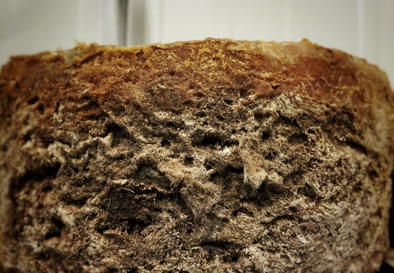 croûte fromage cave affinage