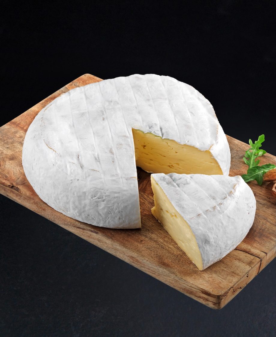 moucherolle