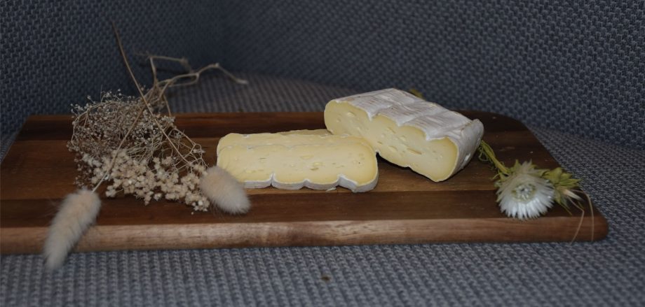 Brique de vache