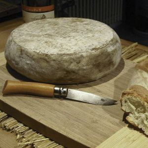 tomme de savoie 2.jpg
